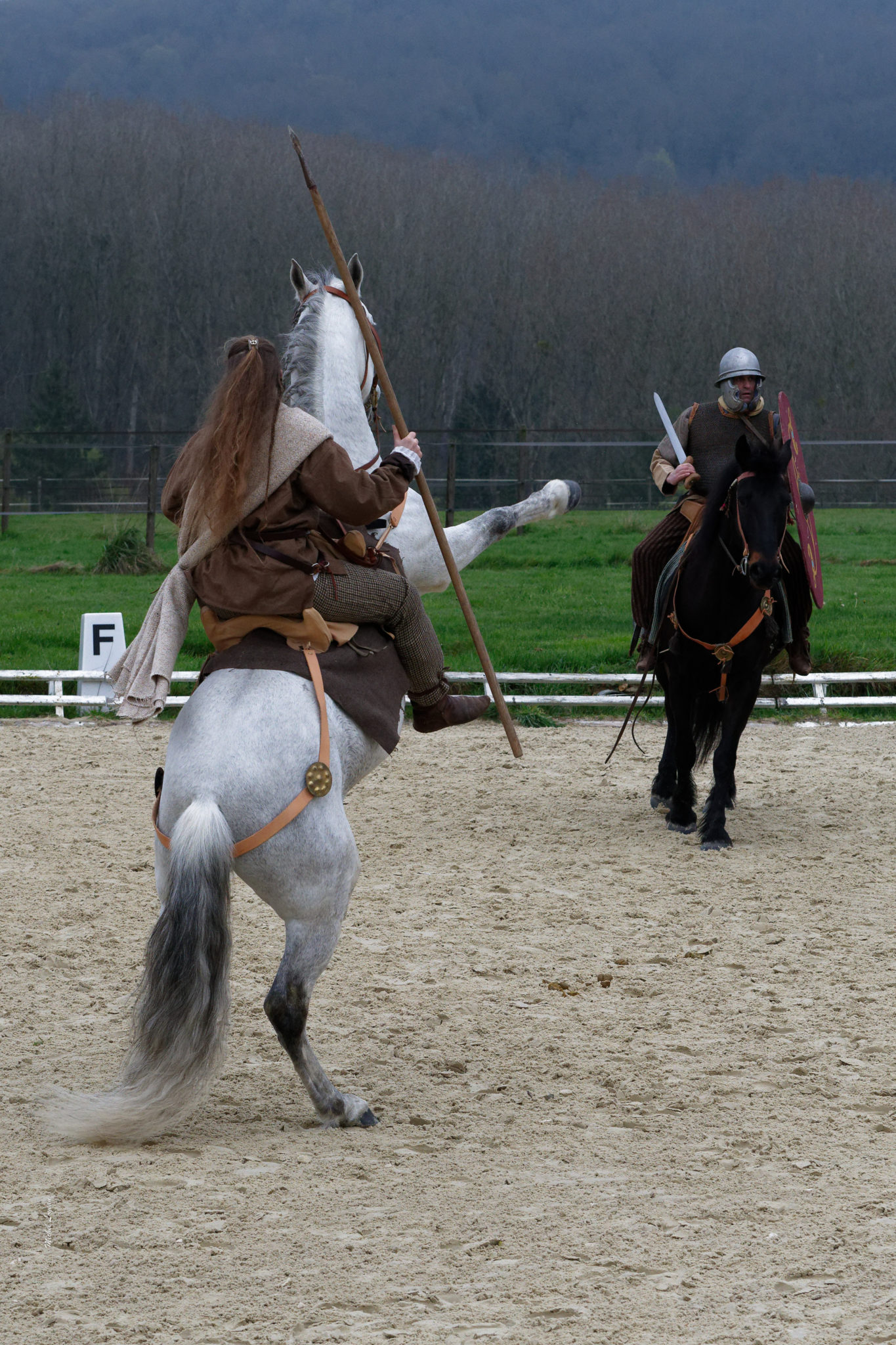 Le Cheval et l’Histoire Le Petit Parquet